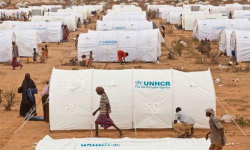 Kambini Dadaab