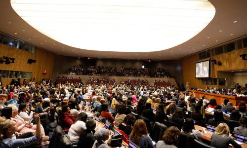 Picha ya mwaka uliopita yaani 2019, ikiwaonesha washiriki wa CSW63 iliyofanyika mwaka huo walipokutana na Katibu Mkuu wa Umoja wa Mataifa. Mwaka huu, kutokana na mlipuko wa COVID-19 mkusanyiko kama huu umeshindikana