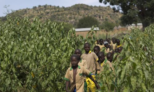 Photo credits: UNICEF/Karel Prinsloo. Children walk back to school after competing in an inter-school athletics competition northern Cameroon, 2017.