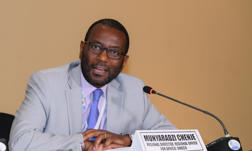 Munyaradzi Chenje, the outgoing Regional Director, Regional Office for Africa, UN Development Coordi