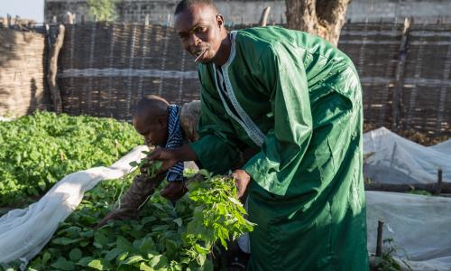 Ibrahima Sow, a Senegalese returnee, dressed up to show his work as a market gardener.