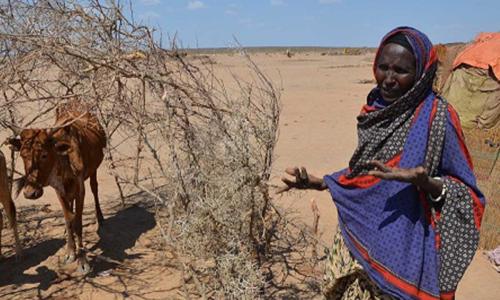 ​Photo:WFP/Melese Awoke