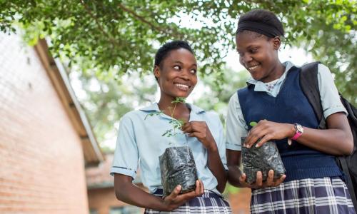 Wanafunzi wakiwa na miche ya miti nje ya shule yao ya sekondari ya Matero kwenye mji mkuu wa Zambia, Lusaka.