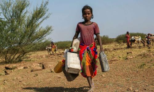A severe drought in Ethiopia has meant that Sofia, 12, has to walk 35 kilometres from her family's home to the nearest water point, then all the way back carrying heavy containers.