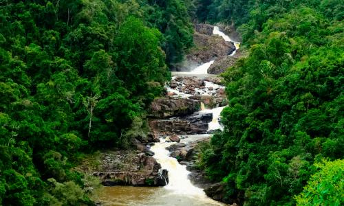 Landscape of Ranomafana National Park, Madagascar