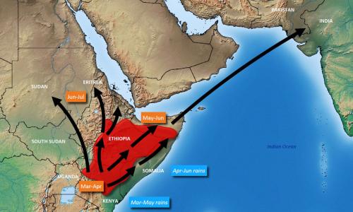 Huu ulikuwa utabiri wa FAO kuhusu mwelekeo wa nzige wa jangwani kwenye eneo la pembe ya Afrika kwa mwezi Machi hadi Juni 2020