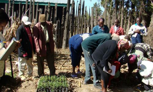 Field school members in Kenya take agro-ecosystem analysis. Photo From: FAO
