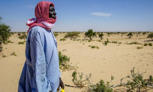 Desertification threatens the village of Tantaverom. Mbo Malloumu has taken the initiative to plant acacia seedlings to rehabilitate the land. In the past 50 years, Lake Chad basin shrank from 25,000 square kilometers to 2,000 square kilometers. / Hakuzim