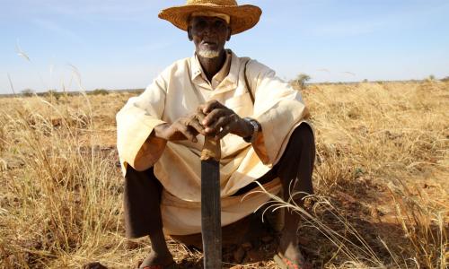 A farmer in Dan Kada, Maradi region, Niger, 2011. Photo Credits: UN Photo/WFP/Phil Behan