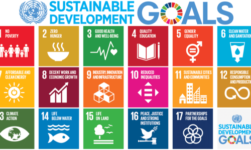 SDG logo