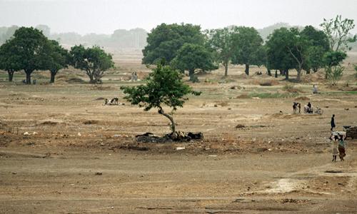 Dried-up riverbed outside Ougadougou, Burkina Faso. Photo: UN Photo/Kay Muldoon