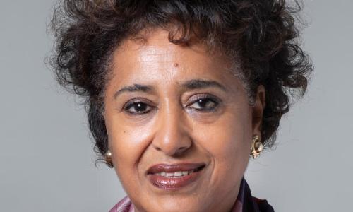 Une image de Sophia Tesfamariam Yohannes