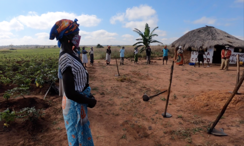 Farmers wear masks during a Farmer Field School session on COVID-19 prevention in Malanje Province, Lombe community. Angola has very few cases of COVID-19, and FAO together with the Angolan government, is working to keep it that way