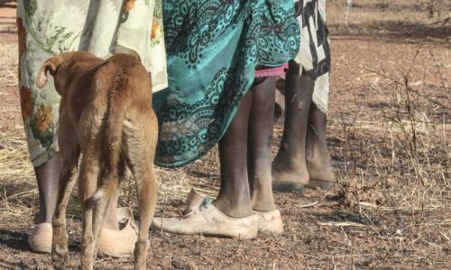 Asilimia 87 ya wanawake na wasichana walibakwa na zaidi ya mtu mmoja kwa saa nyingi nchini Sudan Kusini. Picha: UNMISS/Isaac Billy 