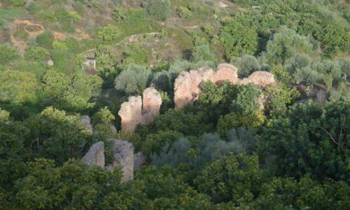 Perched on the heights of Mount el Gorrâa, the gardens of Djebba el Olia form a unique agroforestry system.