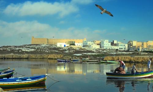 Photo: UNDP Tunisia. Climate change is impacting Tunisia's coastal zones affecting both humans and marine biodiversity.