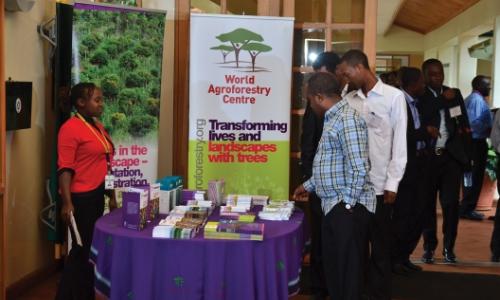 Guests view publications at the opening of the African Plant Breeding Academy in Nairobi, Kenya. Photo: ICRAF/Thellesi Media