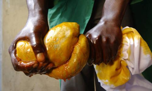 Squeezing palm oil.