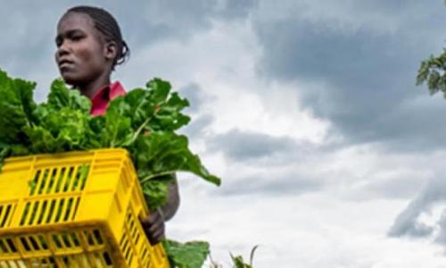 Woman carrying vegetables.