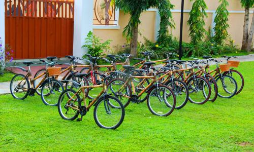 Bamboo bikes on display.