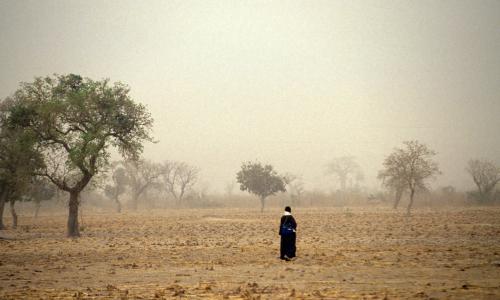 Mwanamke akitembea mashambani nchini Mali.