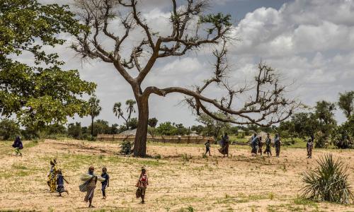 Les pays doivent se mettre d'accord sur des projets de politiques et les mettre en œuvre.