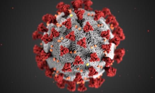 coronavirus