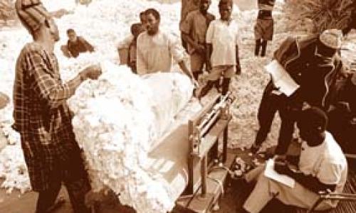 Cotton farmers in Burkina Faso: World prices are depressed.  Photo : ©Jorgen Schytte