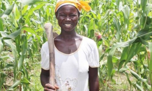 Hawa Adams peut faire au moins trois récoltes par an au lieu d'une grâce aux motopompes solaires. Photo: Bossman Owusu/PNUD au Ghana