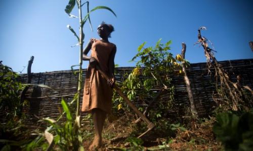 Pour leur subsistance, plus de 11 millions de la population au Soudan du Sud (95%) dépendent presqu’entièrement des secteurs sensibles au climat, dont l'agriculture, les ressources forestières et la pêche. Photo: Albert Gonzalez Farran, UNDP