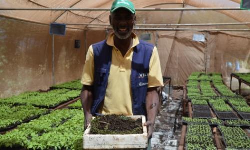 A farmer in Senegal.