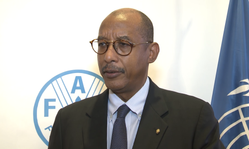 Ibrahim Mayaki, CEO AUDA-NEPAD