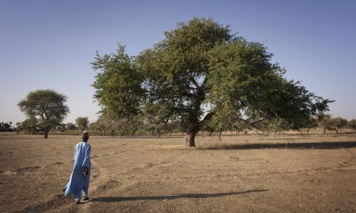 An area that used to be on the edge of Lake Chad. The drying lake has exacerbated suffering for millions.