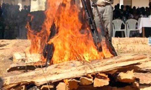 Symbolic burning of arms following Guinea-Bissau’s civil war