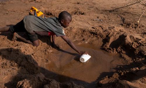 A young boy collects what little water.