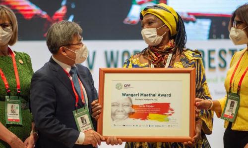 Cameroonian activist, Cécile Ndjebet, winner of the 2022 Wangari Maathai Forest Champions Award.