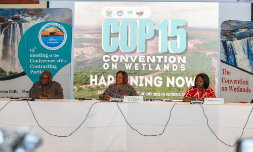 La Secrétaire générale Musonda Mumba au cours d'une conférence de presse à l'approche de la #WetlandsCOP15, qui démarre officiellement aujourd'hui à Victoria Falls.