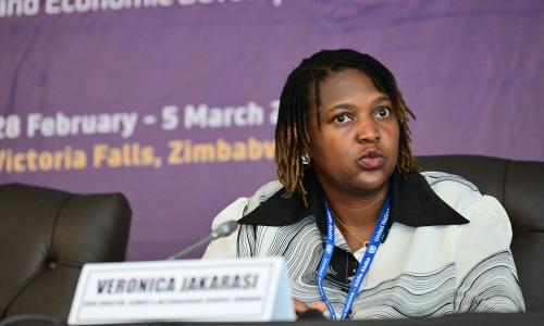 Veronica Jakarasi, Chief Director, Climate and Meteorological Services of Zimbabwe