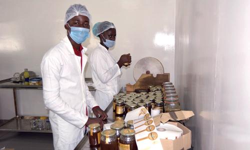 Maxmel Honey factory in Huambo.