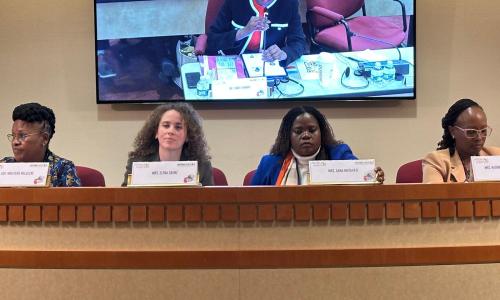 AUDA-NEPAD gender advocates