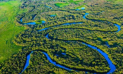 Wetlands