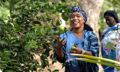 Senegalese women transforming dumpsite into urban gardens.