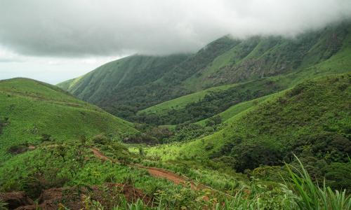 Mount Nimba Nature Reserve in Liberia.