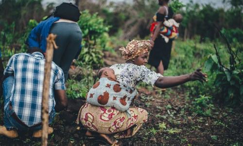 These women are smallholder farmers who follow ecological or organic practices that minimize the use of external inputs and synthetic chemicals, thus helping to preserve the environment.