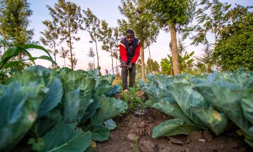 SunCulture has raised over $40 million to equip rural farmers with solar-powered irrigation systems.