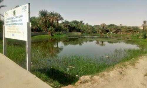 The Aboubou pond.