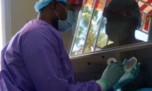 A laboratory technician tests a blood sample to screen for diseases.