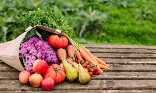 The 2022 SOFI report provides updates on the food security and nutrition situation around the world.