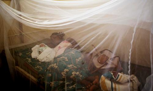 Le Togo est le premier pays africain à mettre fin à la maladie du sommeil comme problème...
