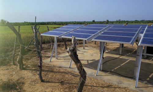 Solar panels on a farm in Mali.